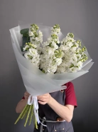 9 белых маттиол &laquo;Белый цвет с ароматом&raquo; 1