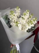 9 белых маттиол &laquo;Белый цвет с ароматом&raquo; 3