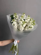 9 белых маттиол &laquo;Белый цвет с ароматом&raquo; 4