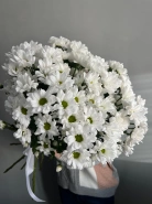 Букет из 7 хризантем ромашкой &laquo;Семь Спасибо&raquo; 1