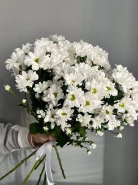 Букет из 7 хризантем ромашкой &laquo;Семь Спасибо&raquo; 3