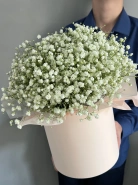 Цветы в коробке &laquo;Снежная фея&raquo; 0