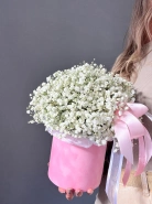 Белая Гипсофилла в шляпной коробке 2