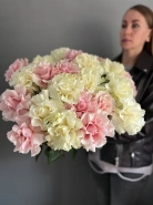 Французская Роза 1