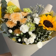 Солнечное сияние 1